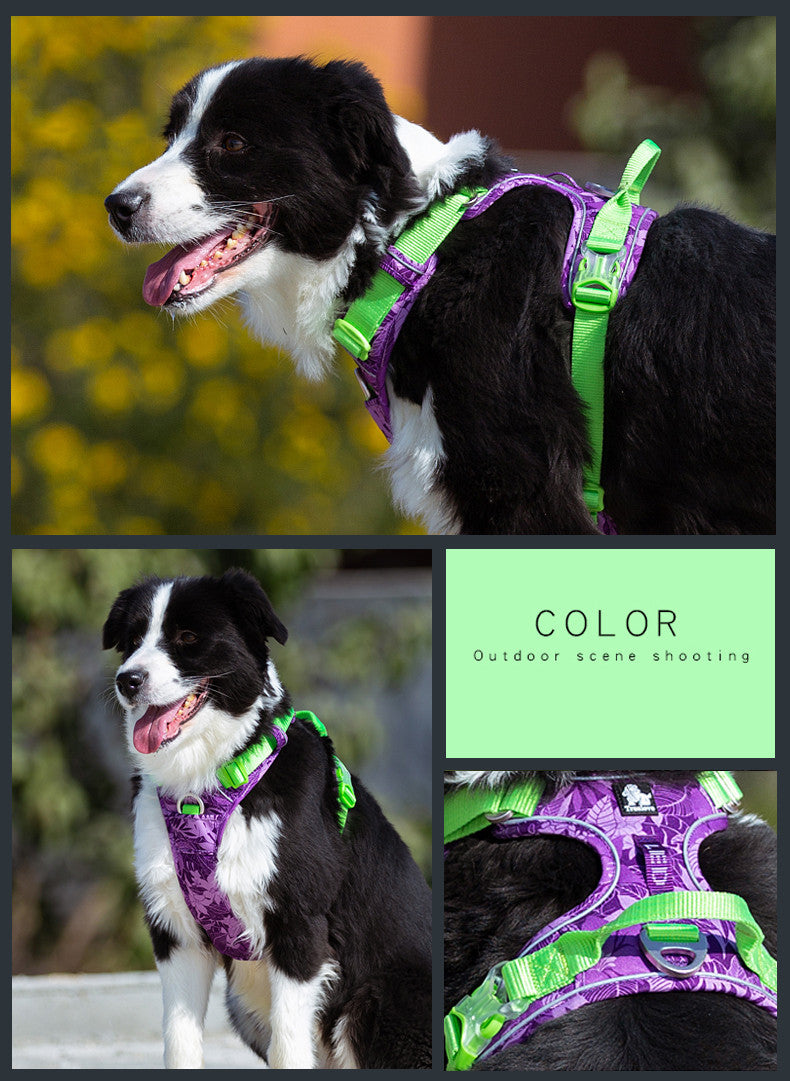 Adjustable Dog Leash & Vest Strap