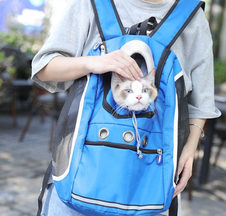 Pet Outing Backpack