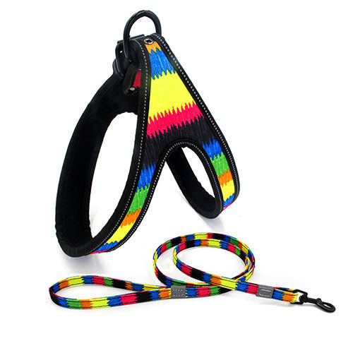 Colorful Dog Leash