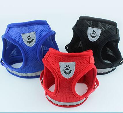 Puppy Dog Harness And Leash Set