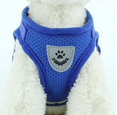 Puppy Dog Harness And Leash Set