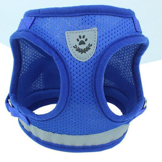 Puppy Dog Harness And Leash Set