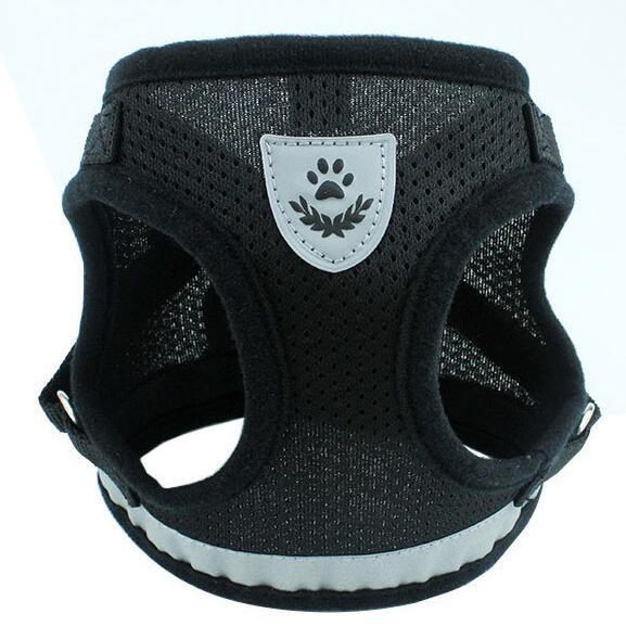 Puppy Dog Harness And Leash Set
