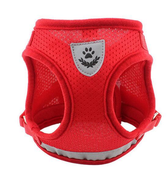 Puppy Dog Harness And Leash Set