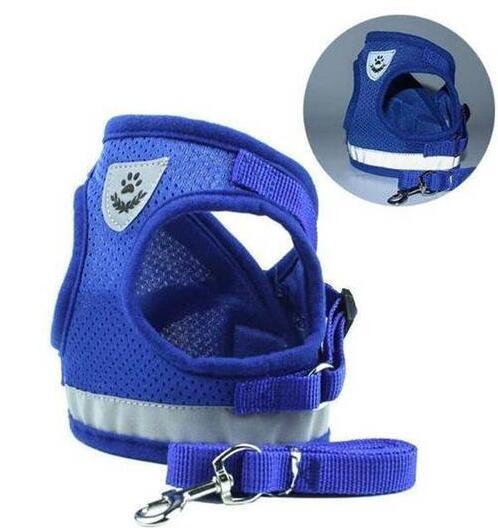 Puppy Dog Harness And Leash Set