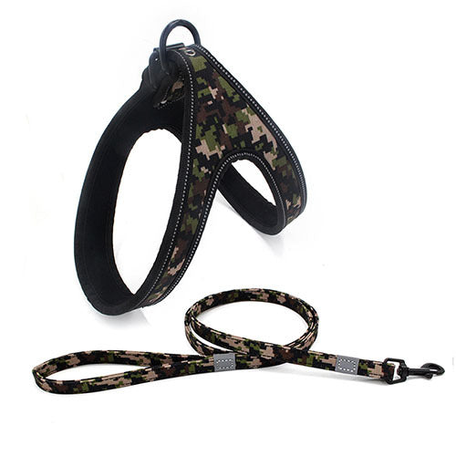 Colorful Dog Leash