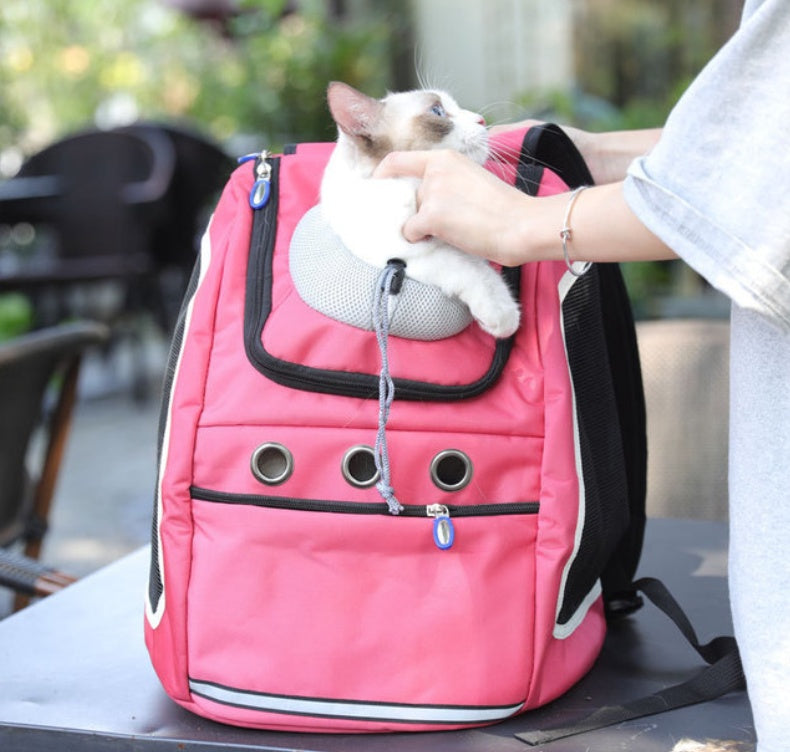 Pet Outing Backpack