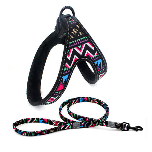 Colorful Dog Leash