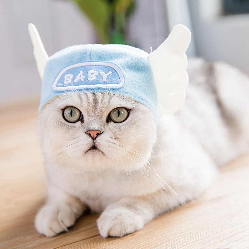 Pet Tang Suit Costume