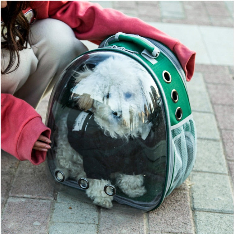 Trendy Transparent Space Capsule Pet Backpack