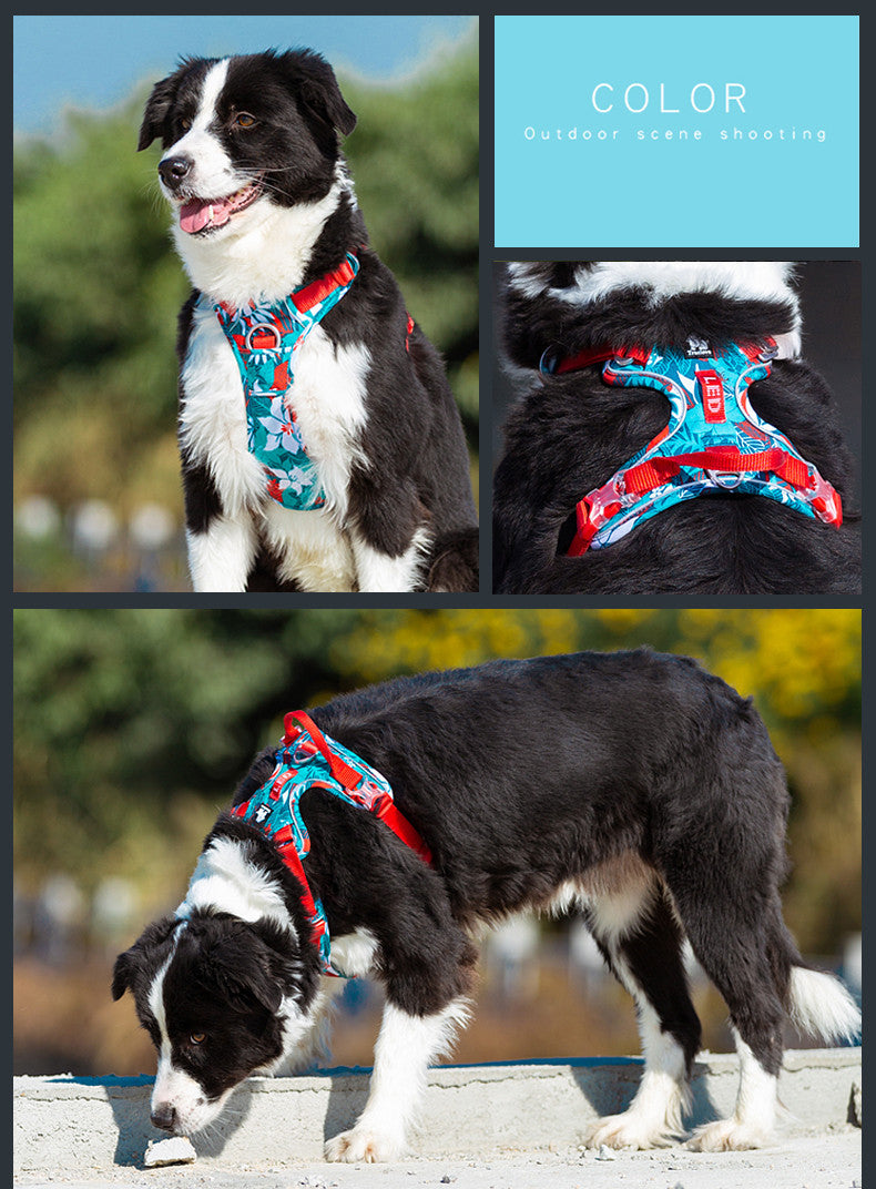 Adjustable Dog Leash & Vest Strap