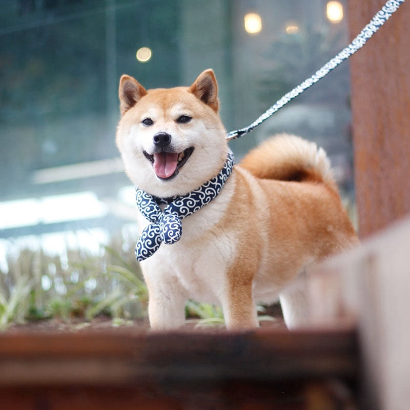 Japanese-Style Pet Turban Collar