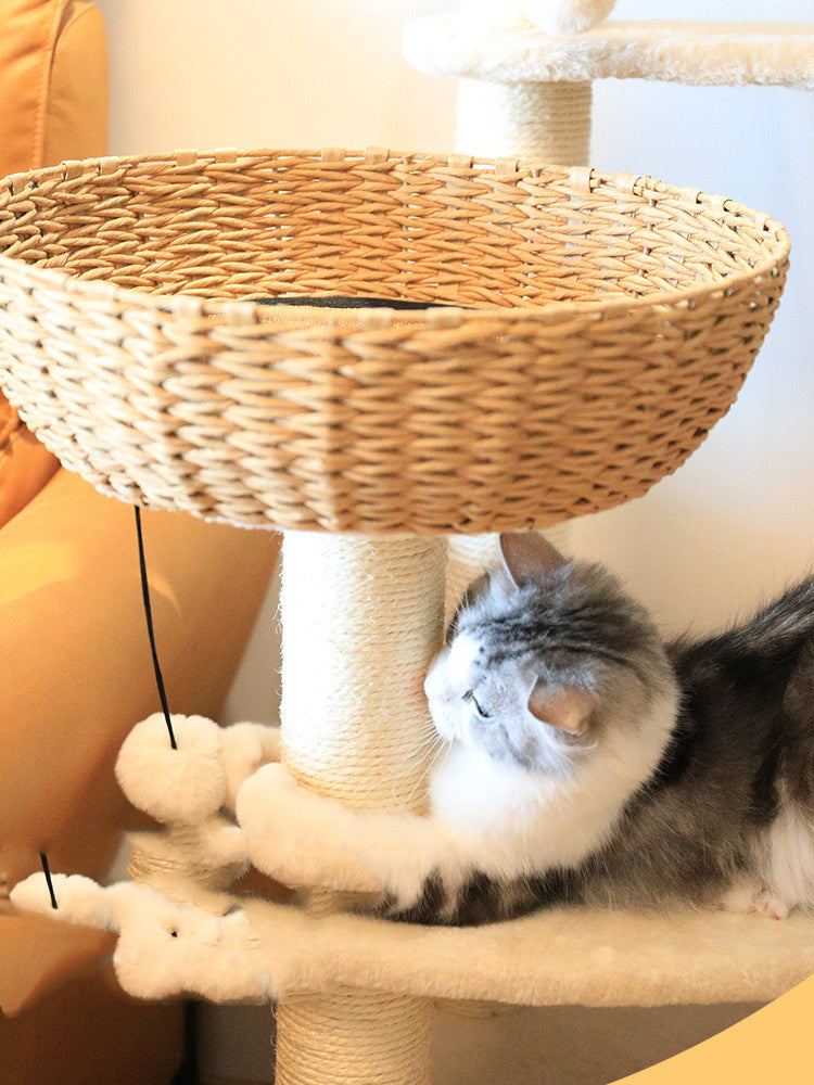 Sit Lie On Cloud Cat Climb Rack Nest Tree