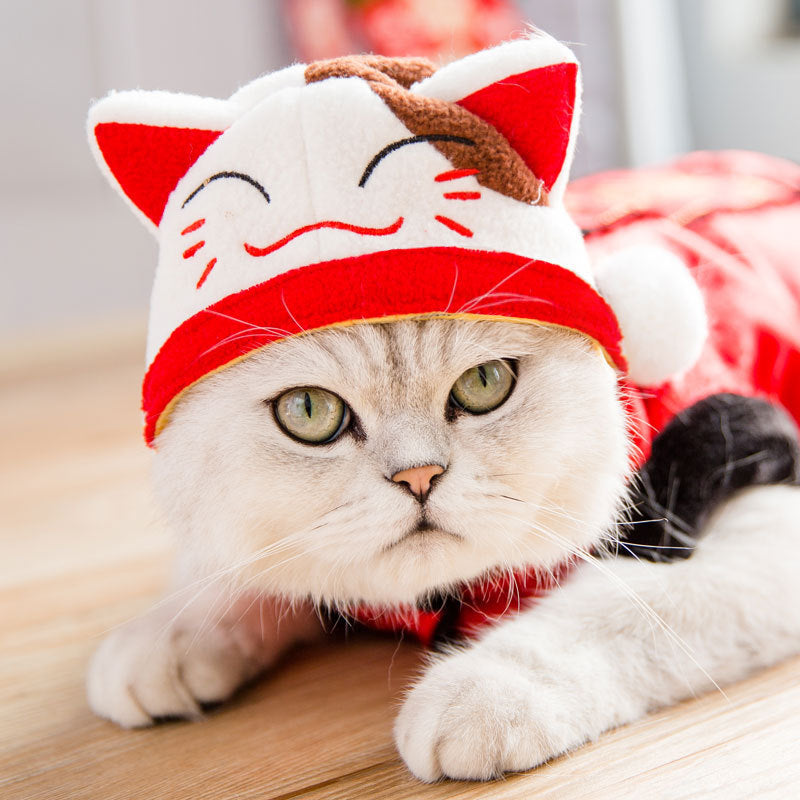 Pet Tang Suit Costume