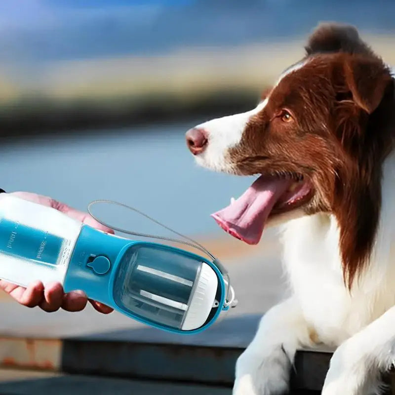 Multi-Functional Dog Water Cup, Food Container & Waste Bag