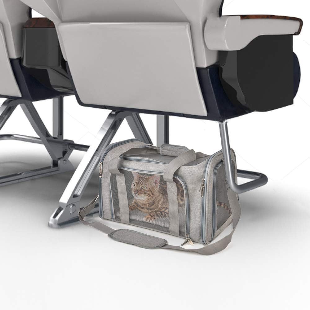 Soft-Sided Collapsible Dog & Cat Carrier
