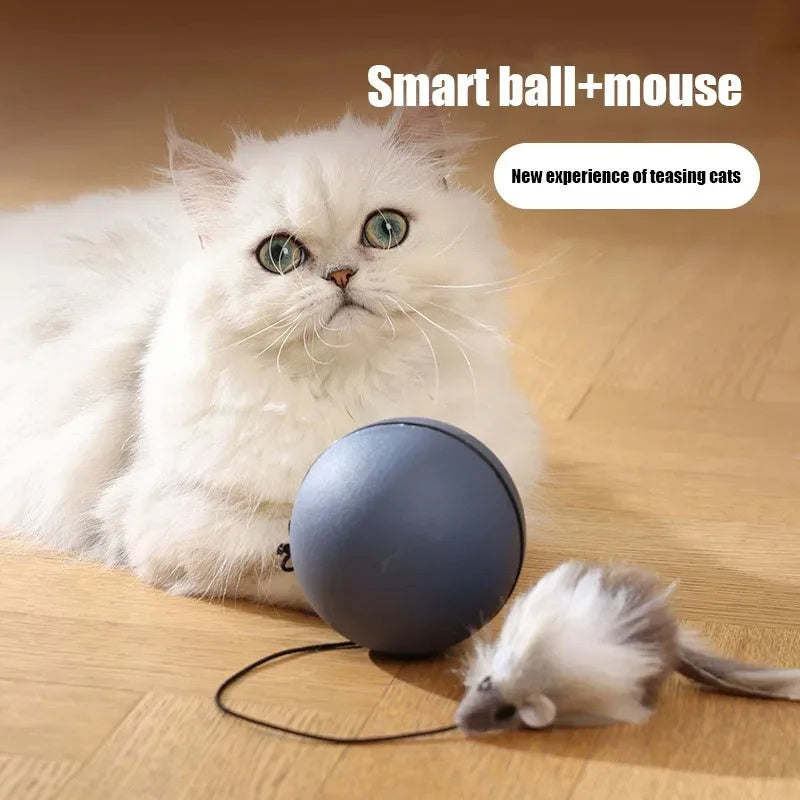 Interactive Electric Mouse Teaser Ball for Cats