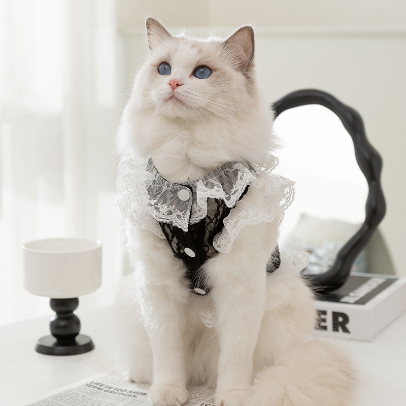 Elegant Lace Vest for Cats and Kittens