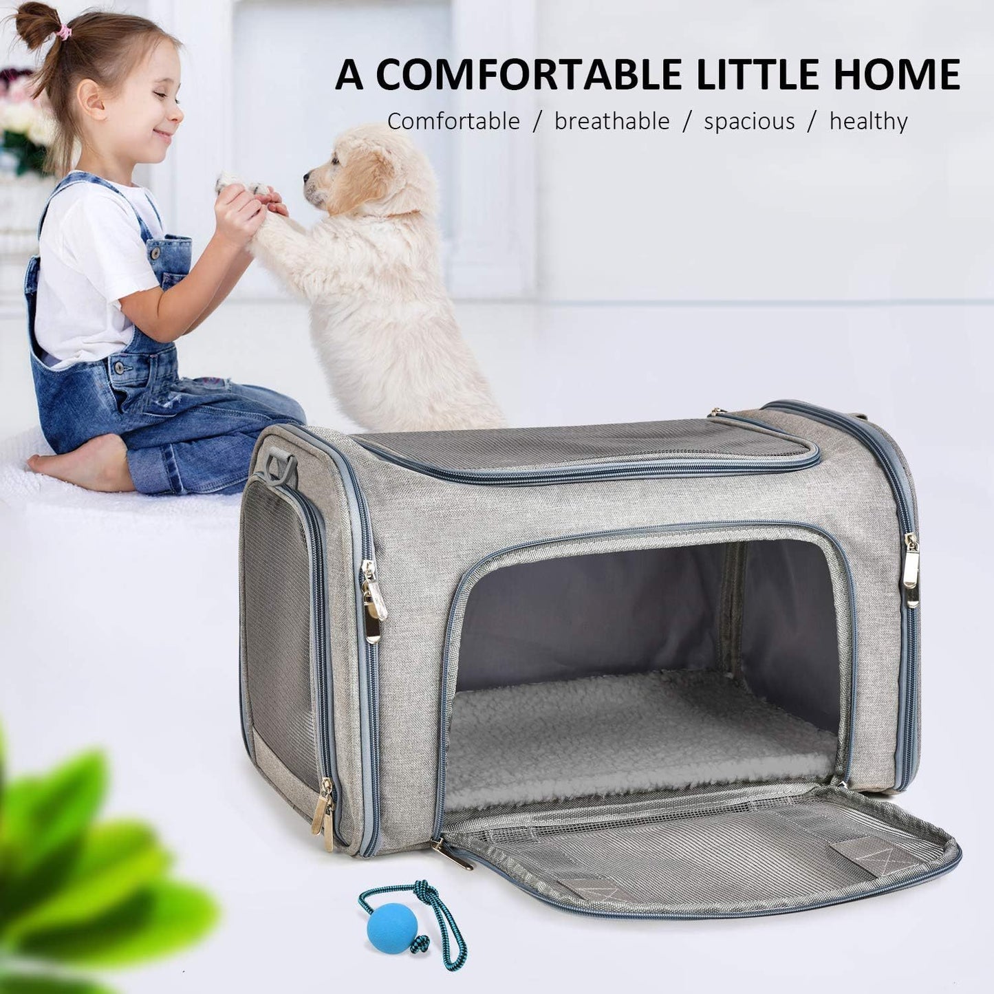 Soft-Sided Collapsible Dog & Cat Carrier