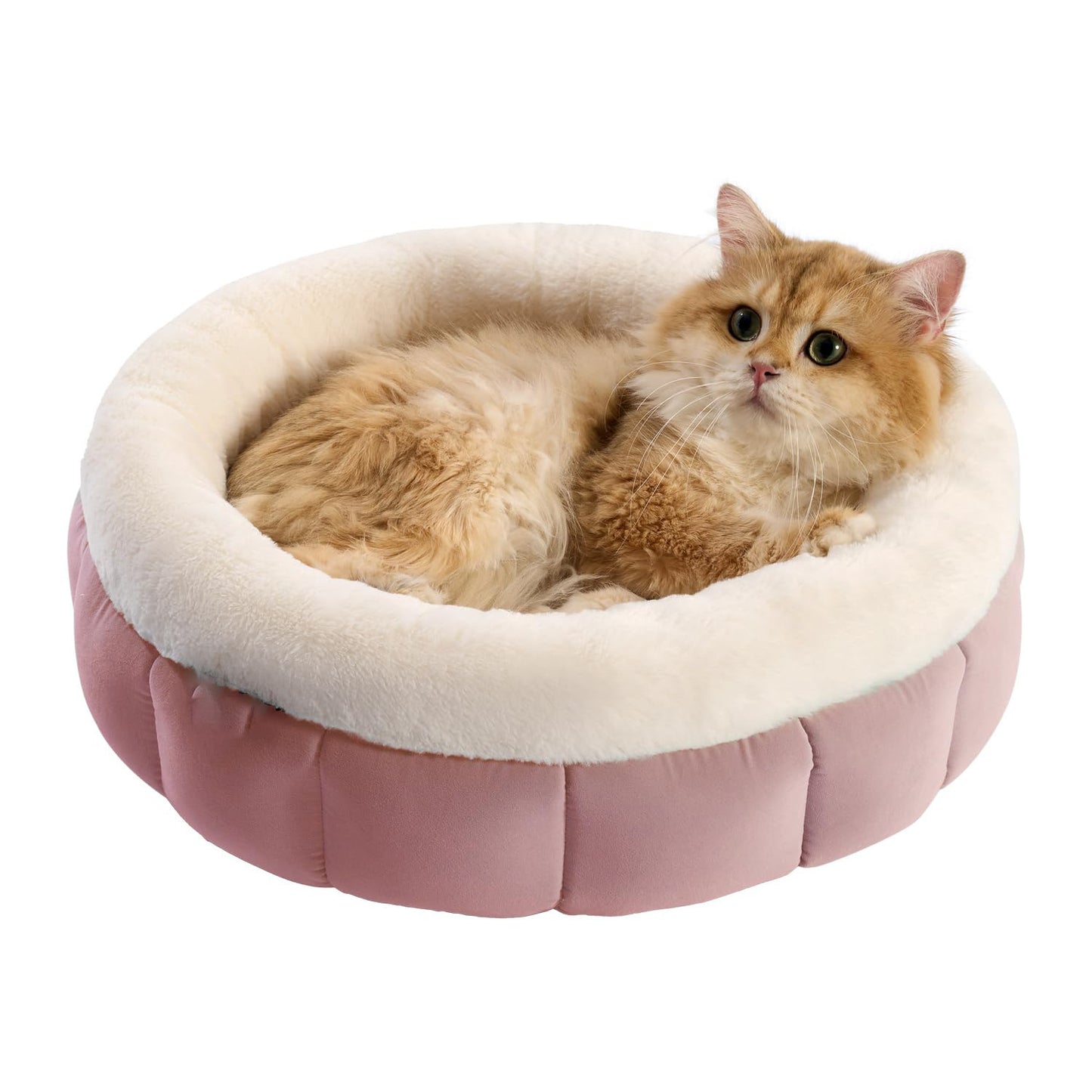 Donut Dog Bed for Small Cat