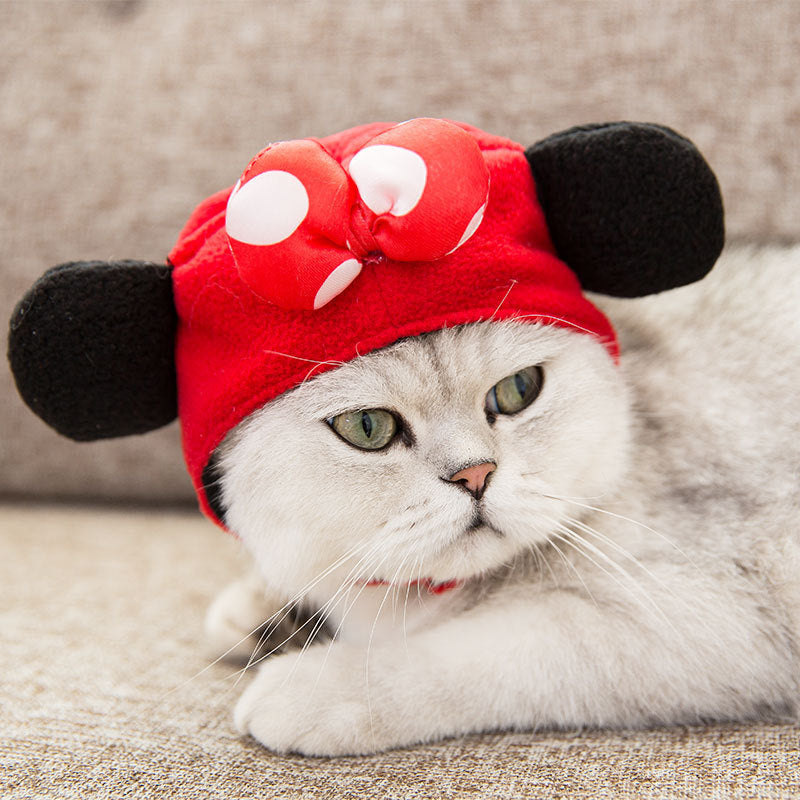Pet Tang Suit Costume