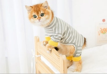 Sleek & Cozy Anti-Shed Four-Legged Outfit