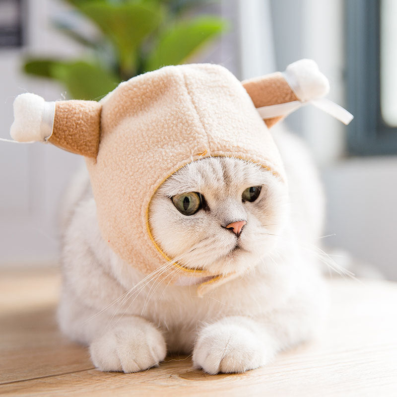 Pet Tang Suit Costume