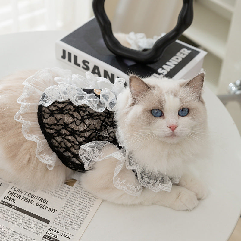 Elegant Lace Vest for Cats and Kittens