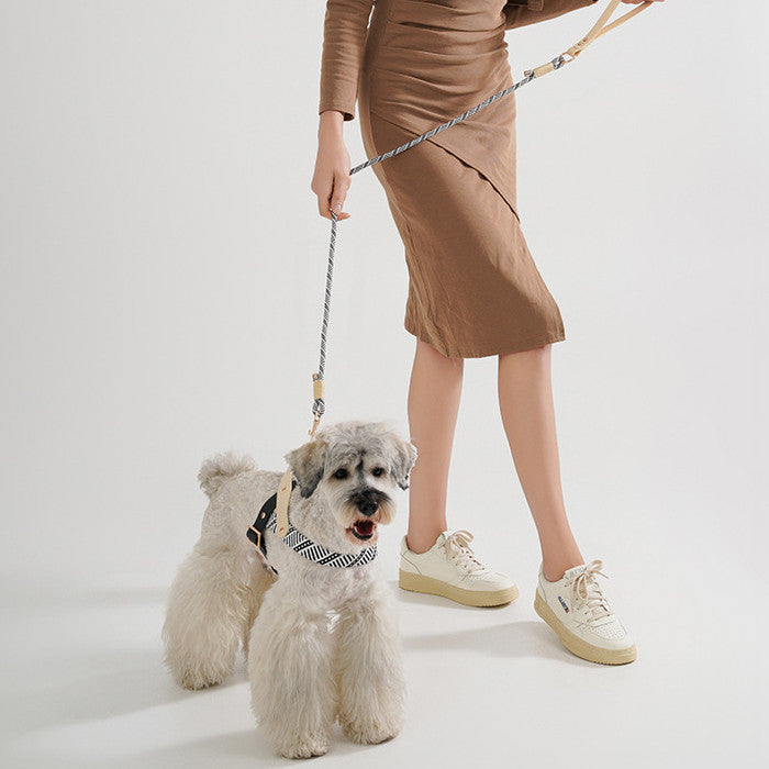 Dog Harness with Hand-Held Leash