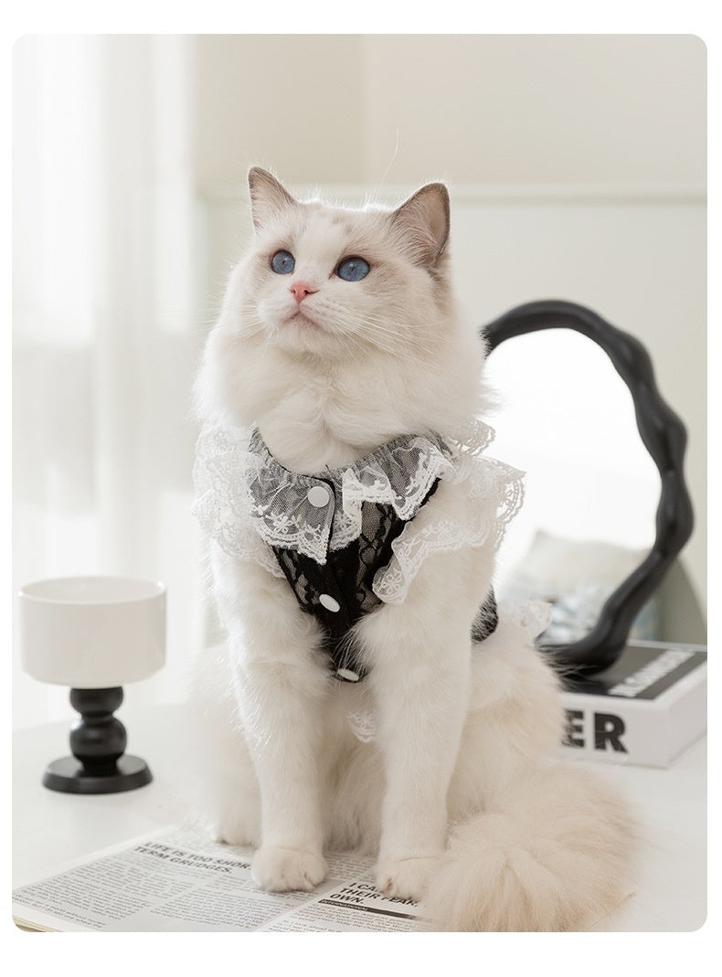 Elegant Lace Vest for Cats and Kittens