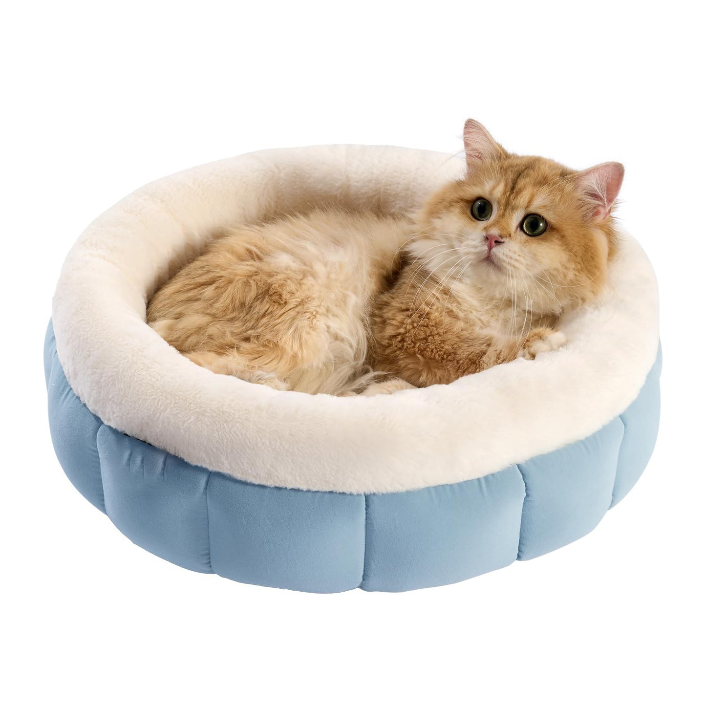 Donut Dog Bed for Small Cat