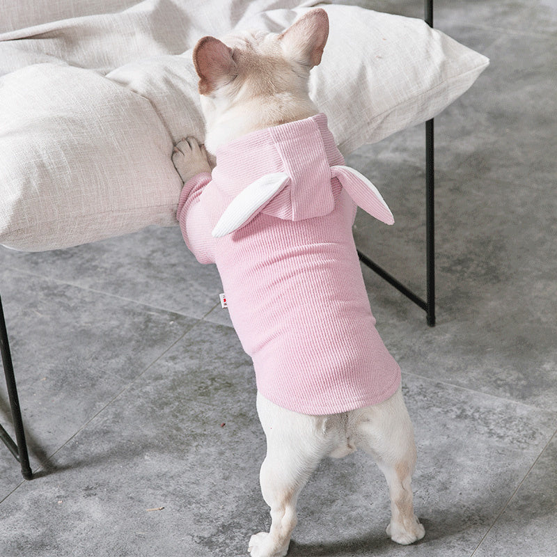 All-Weather Lightweight Dog Coat