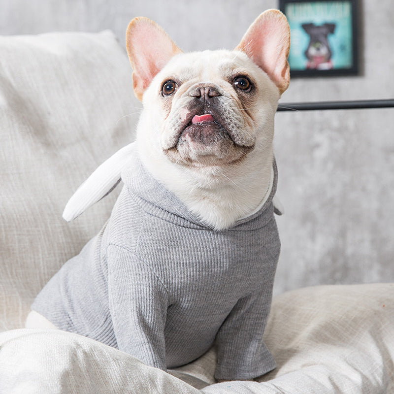 All-Weather Lightweight Dog Coat