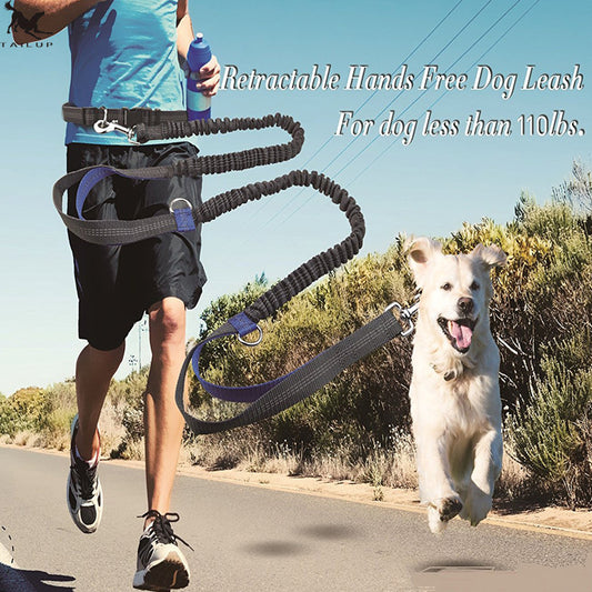 Multi-Function Reflective Running Dog Leash