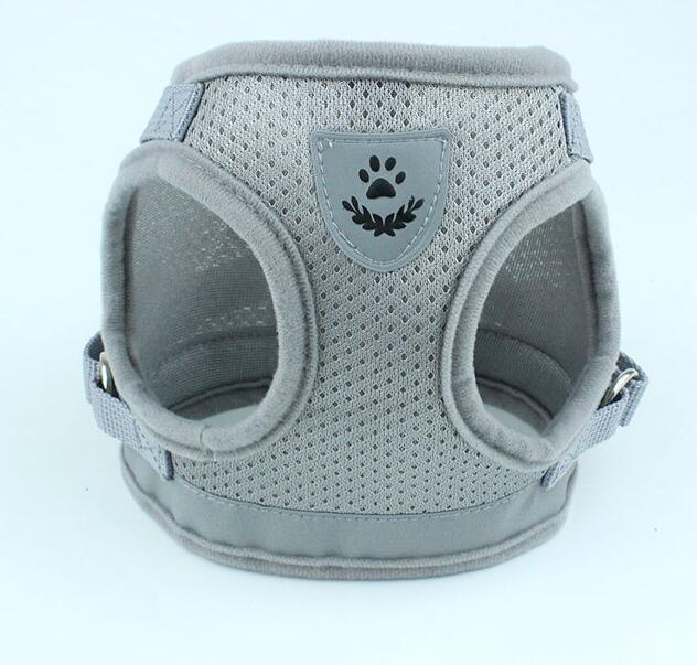 Puppy Dog Harness And Leash Set