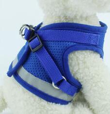 Puppy Dog Harness And Leash Set