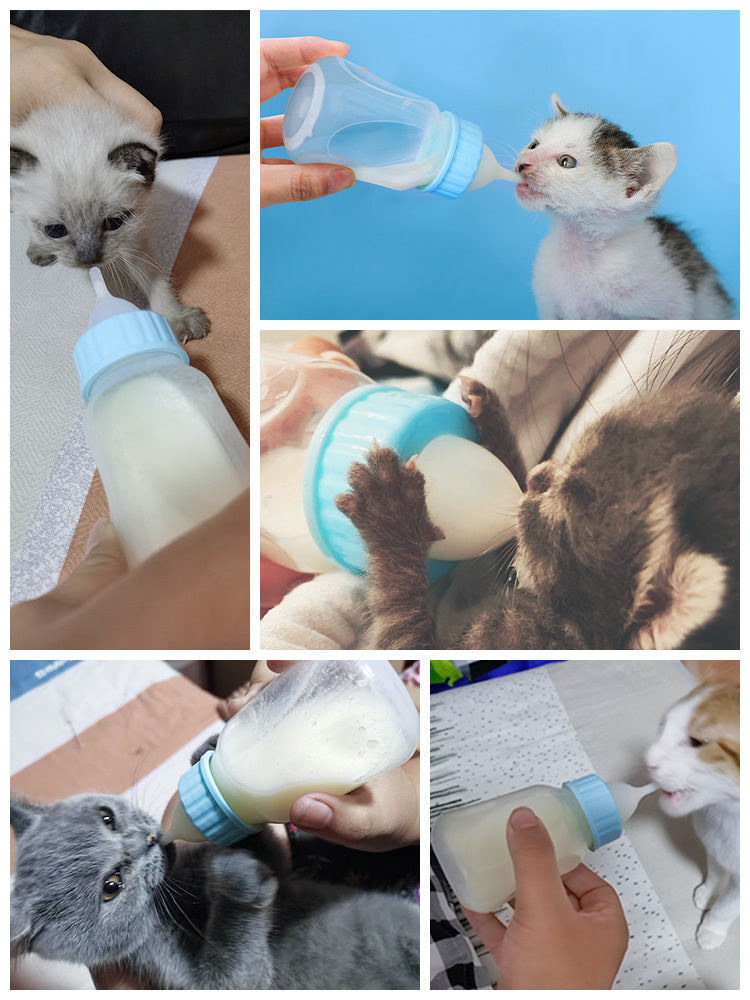 Cat Feeding Bottle