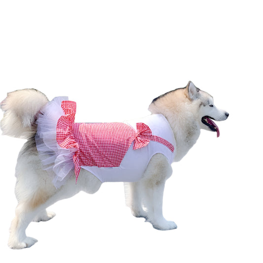 Princess Dog Costume