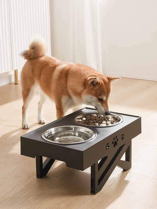 Pet Feeder Bowl