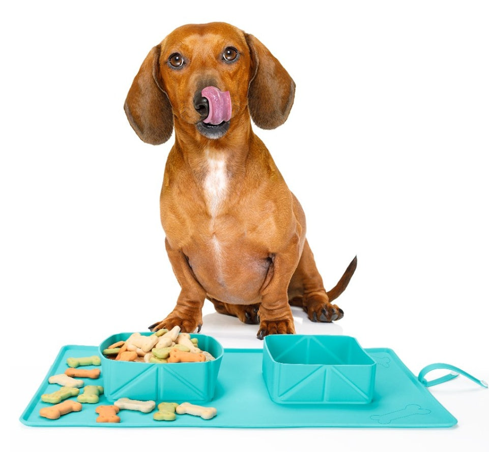 Portable Silicone Bowls for Dogs & Puppies