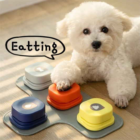 Pet Talking Button Toy – 4 Colors, Recordable & Interactive