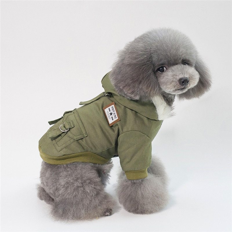 Small Dog Autumn & Winter Coat