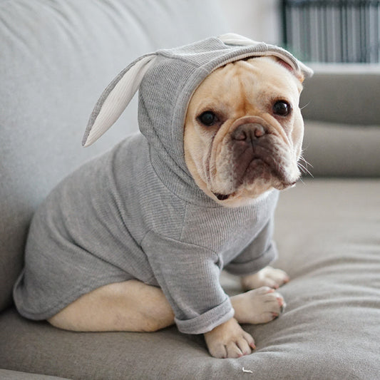 All-Weather Lightweight Dog Coat