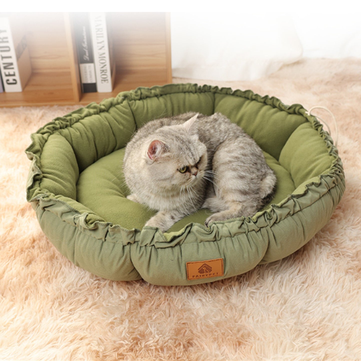 Cozy Indoor Cat Bed