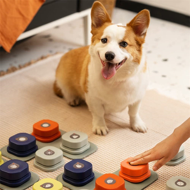 Pet Talking Button Toy – 4 Colors, Recordable & Interactive