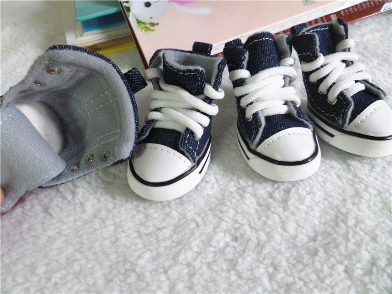 Dog Converse-style shoes