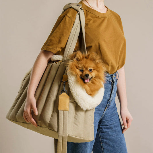 Stylish Waterproof Pet Carrier Handbag