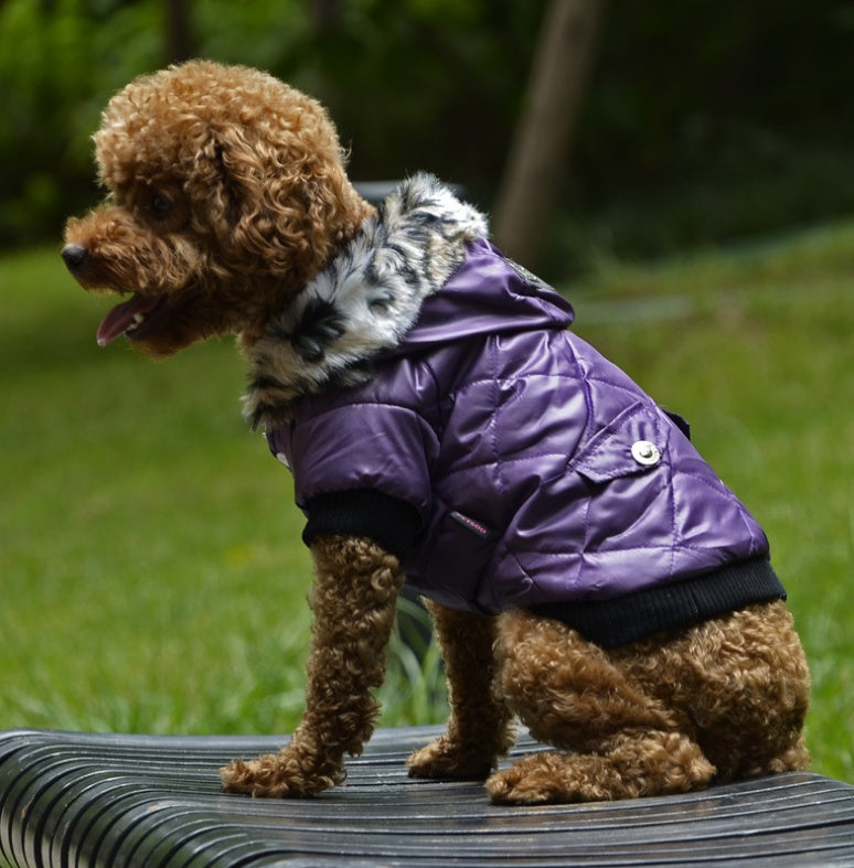 Autumn & Winter Dog Coat - Korean Style and Fur Collar