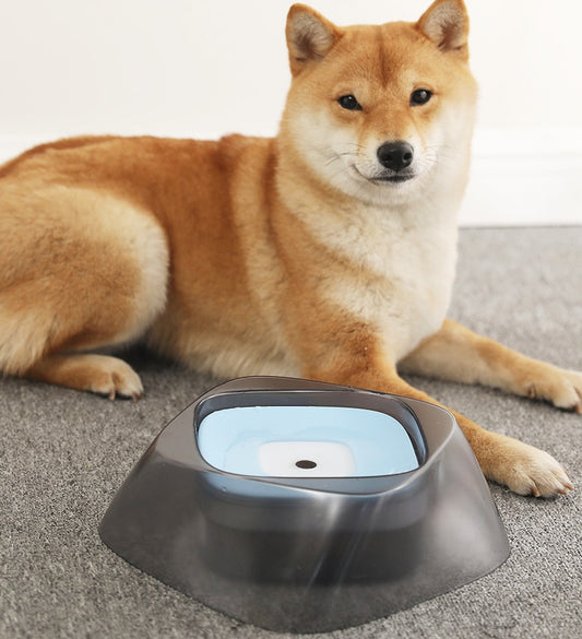 Floating Pet Bowl for Dogs & Cats