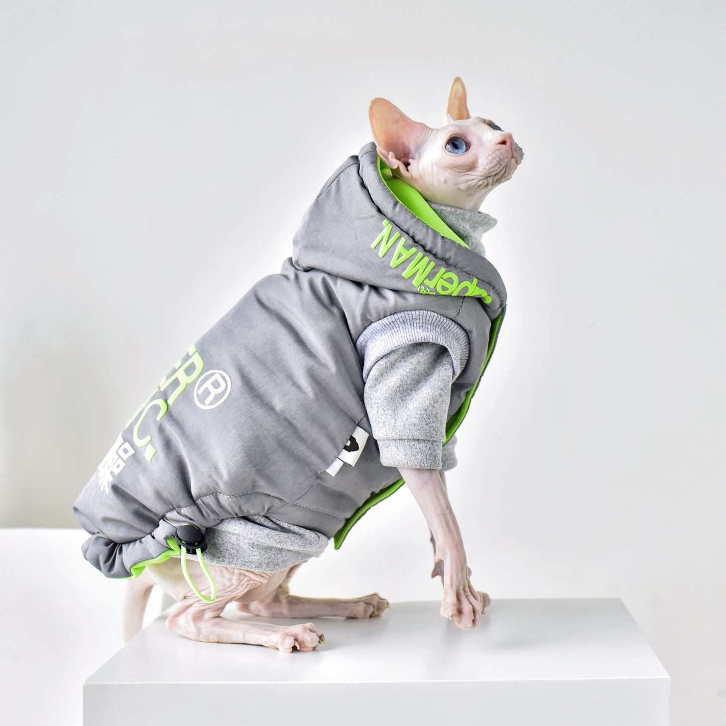 Winter Coat for Hairless Cats